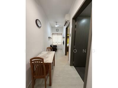 For Sale - Sycamore Tree