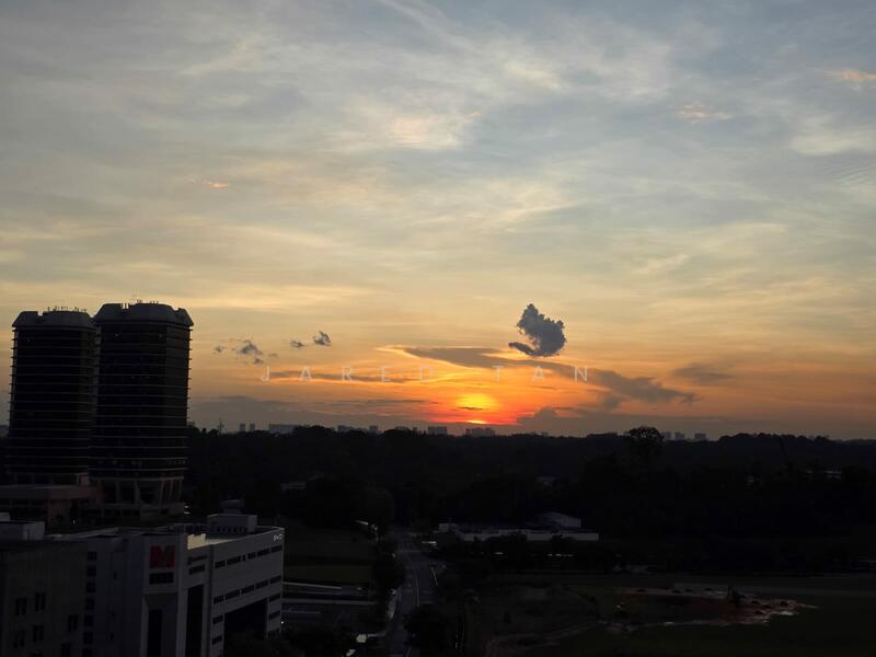 View