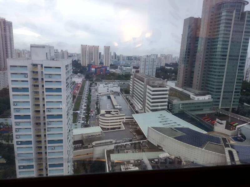 View