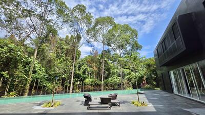 For Rent - Newly Renovated 6 bedroom GCB in D11 (Rare Greenery View)