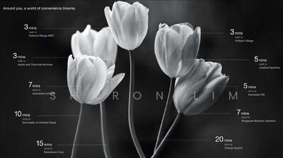 For Sale - Van Holland