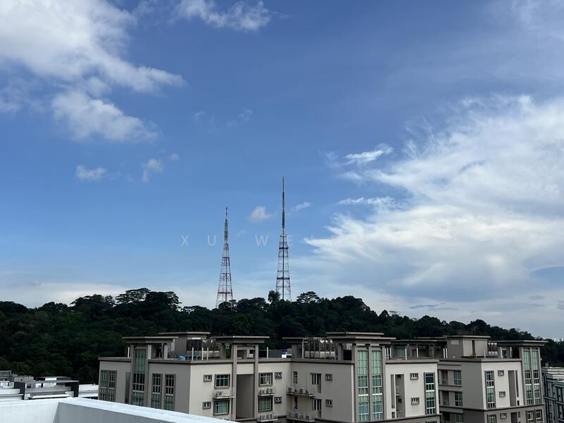 View