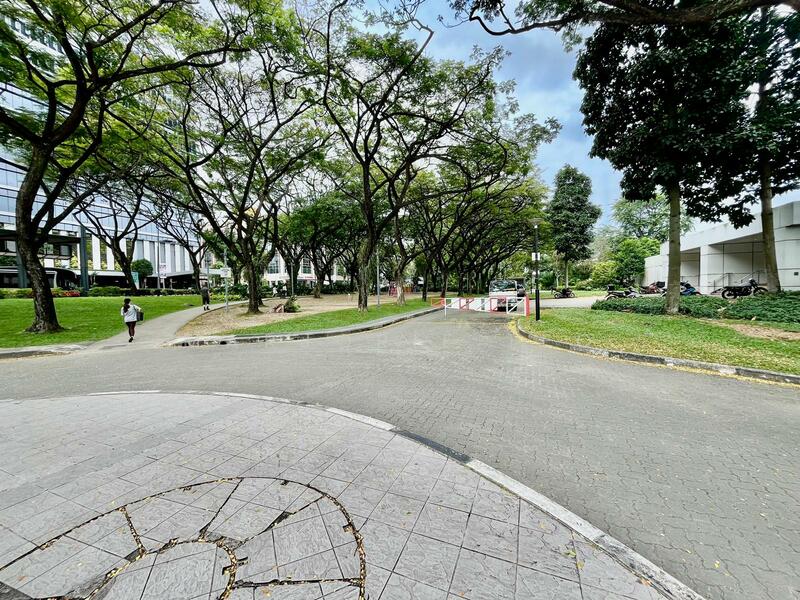 Commercial Space for Office/Commercial/International School 5 mins walking from Dhoby Ghaut MRT, Clemenceau Ave, 11,300 sqft, Mall Shop For Rent, by Marjorie Teo, 60162268 - CommercialGuru.com.sg