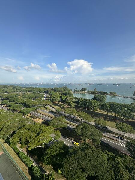 View