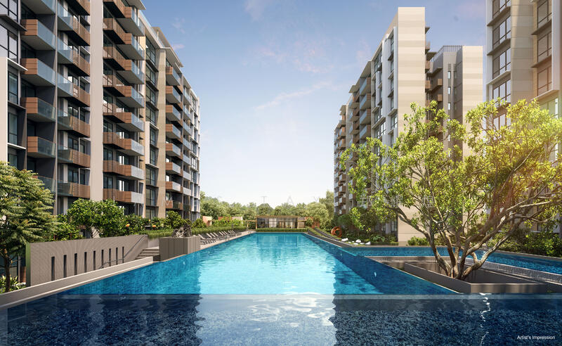 swimming pool lap pool