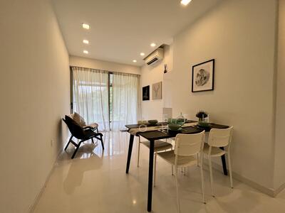 For Sale - Mulberry Tree