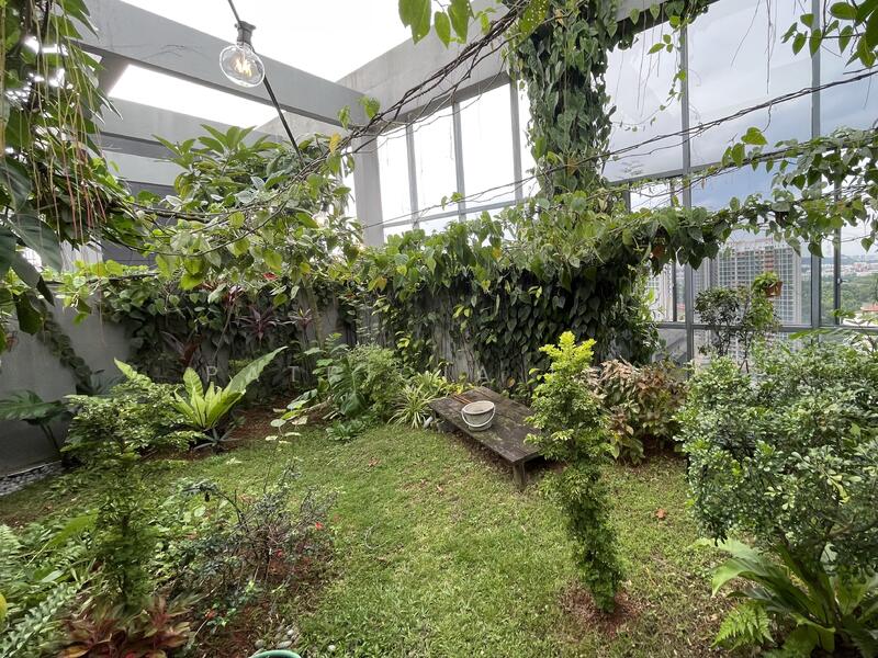 Landscaped private roof garden ideal for plant lovers and alfresco relaxation.