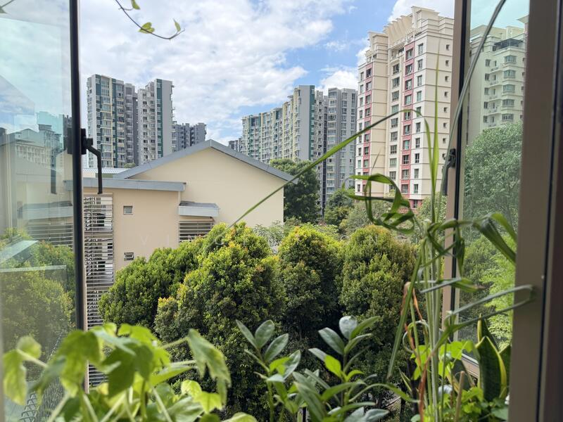 View From Kitchen