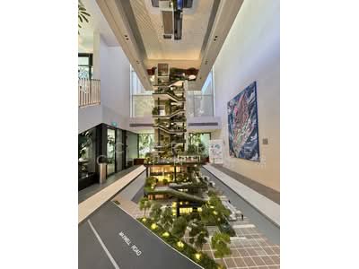 For Sale - TMW Maxwell