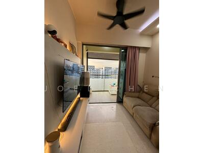 For Sale - Skies Miltonia