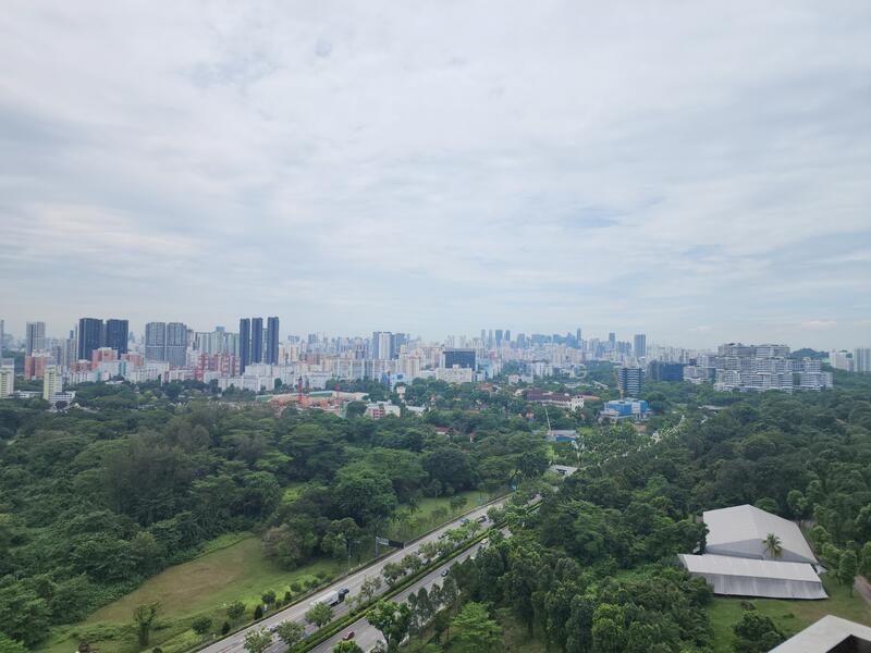 View