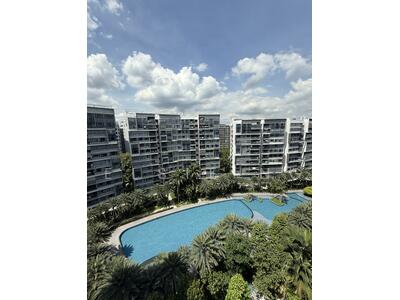 For Sale - The Palette