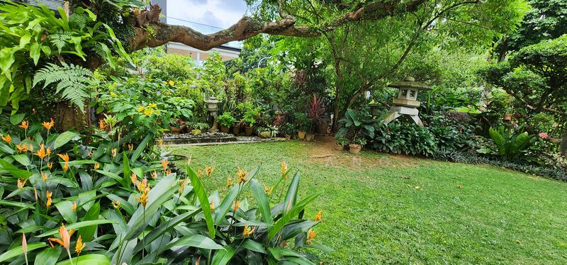 Beautiful Detached Kheam Hock/Trevose/Dunearn Area Detached House For Sale at S$ 20,000,000 | PropertyGuru Singapore