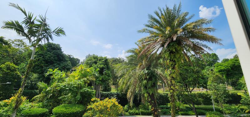 Beautiful Detached Kheam Hock/Trevose/Dunearn Area Detached House For Sale at S$ 20,000,000 | PropertyGuru Singapore