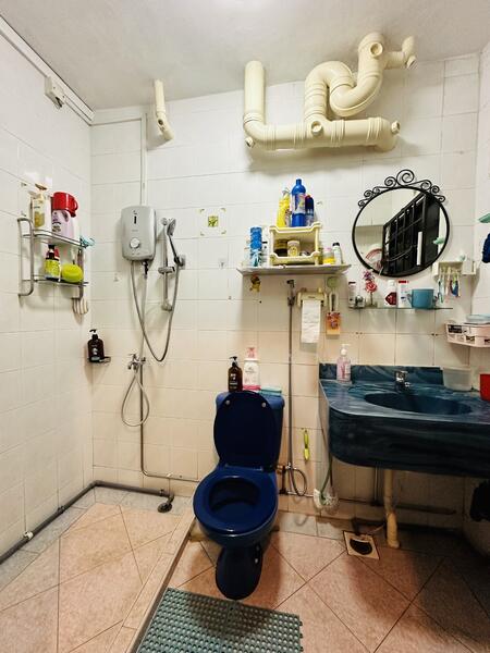 Master toilet