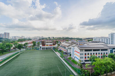 For Sale - Yew Mei Green