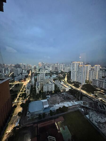 View