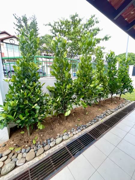 Toh Drive, Toh Drive, 4 Bedrooms, 2,400 sqft, Detached House For Rent, by Jason Chew, 60169770 - Improved Landscaping & Privacy - PropertyGuru.com.sg