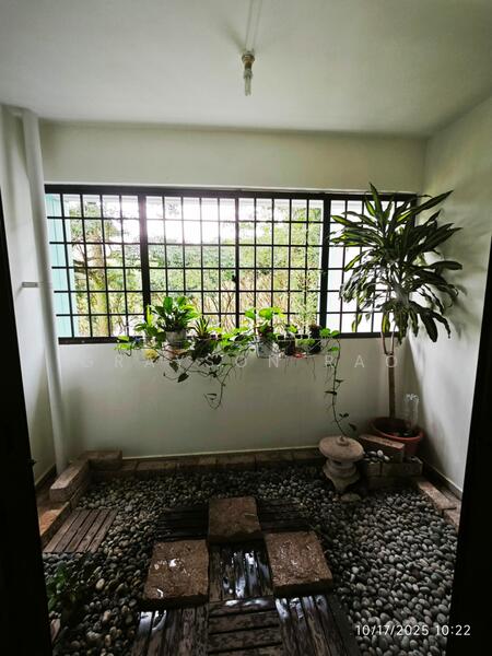 Balcony Garden