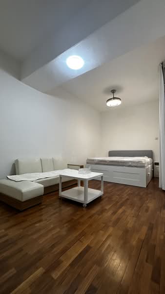 Beach Road room rental, , Room Rental, 120 sqft, Apartment For Rent, by Paul Ryan Soh, 60171090 - Living Room - PropertyGuru.com.sg