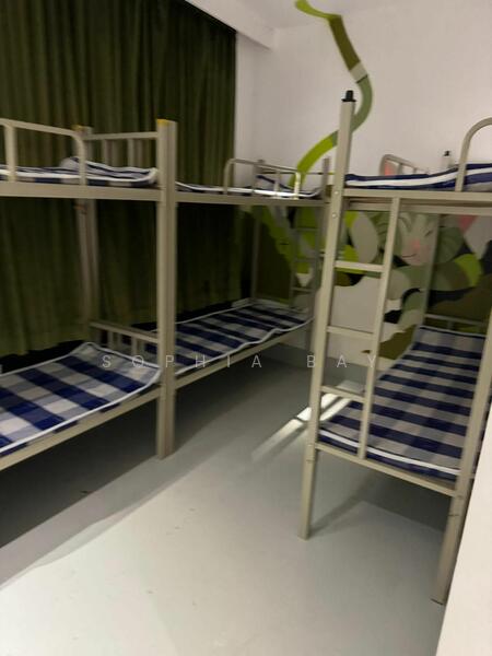 Little India, Little India, 100 sqft, Dormitory For Rent, by Sophia Bay, 60171226 - CommercialGuru.com.sg