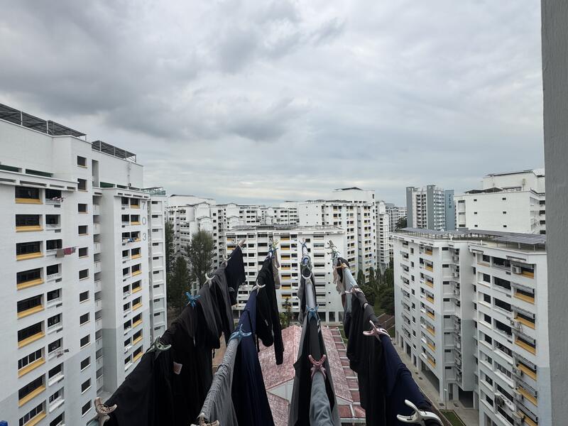 View