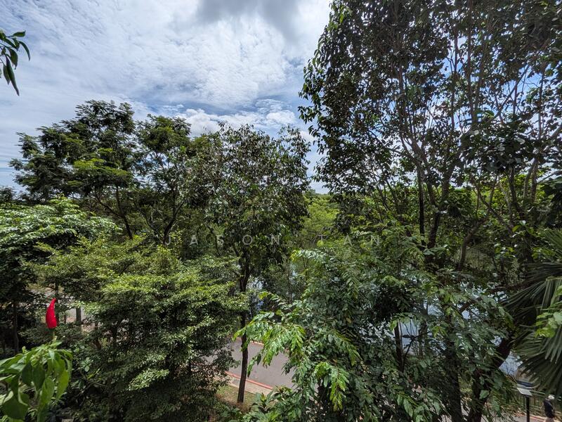 Balcony View