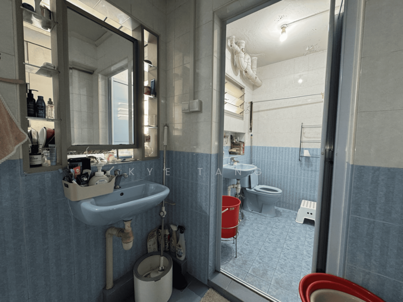 Common Bathroom - Actual Unit