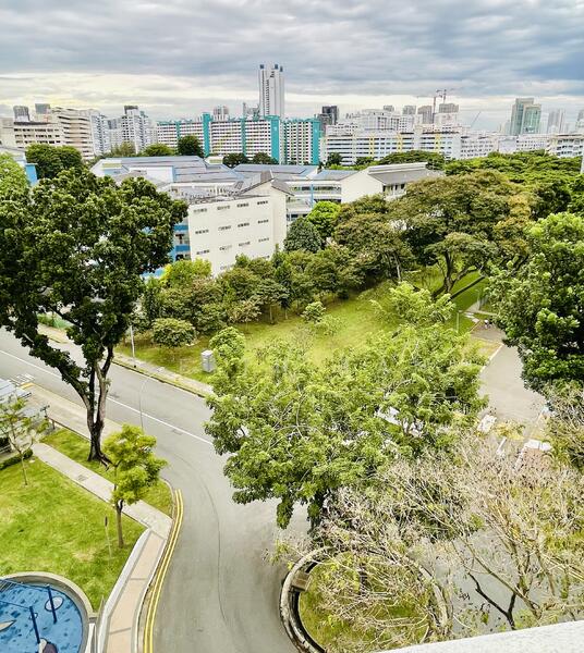 Greenery View from Balcony