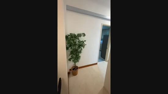 La Crystal, 160 Killiney Road, Room Rental, 100 sqft, Condominium For Rent, by Steve Voon, 60173056 - PropertyGuru.com.sg