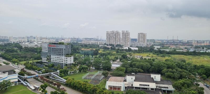 View