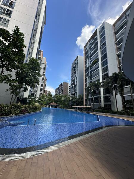 Great swimming pool and condo facilities