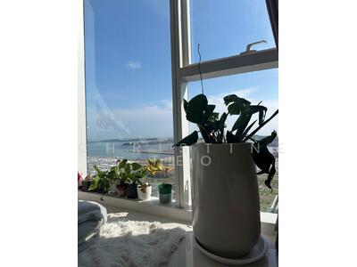 For Rent - 76 Shenton