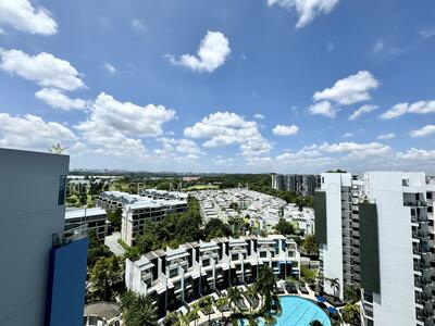 For Sale - Skies Miltonia