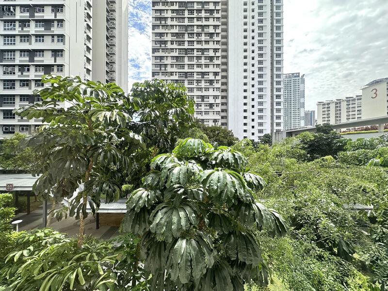 View From Living Room