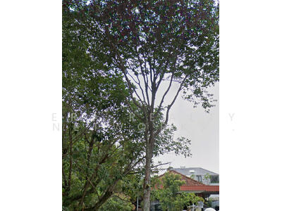 For Sale - Jansen Road