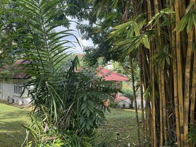 For Sale - GCB Super BIG Land Cheap