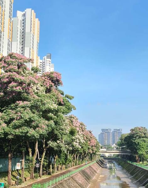 For Sale - 33 Ghim Moh Link