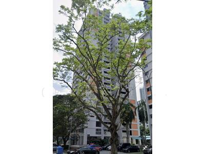 For Rent - 5 Delta Avenue