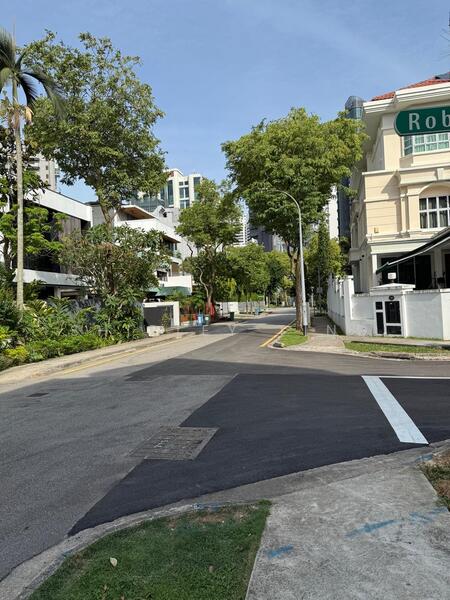 For Sale - NEW LIST! RARE! A BEAUTIFUL MODERN 2.5 STY SEMI-D WITH POOL @ ROBIN! 1KM TO SCGS/ACS! STEVENS MRT!