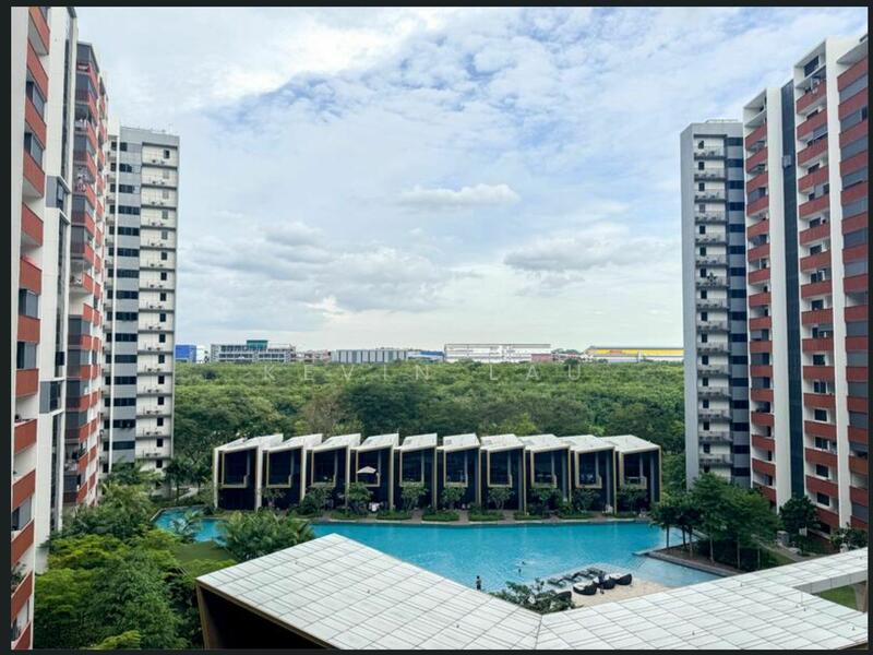 View