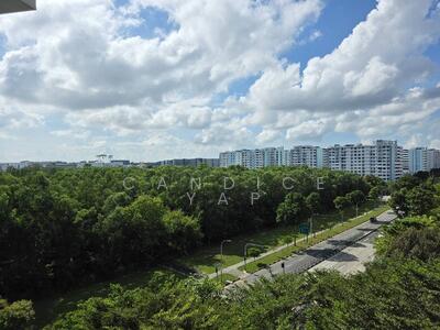 For Sale - Ripple Bay