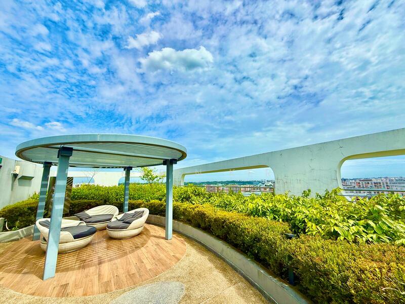 Rooftop garden