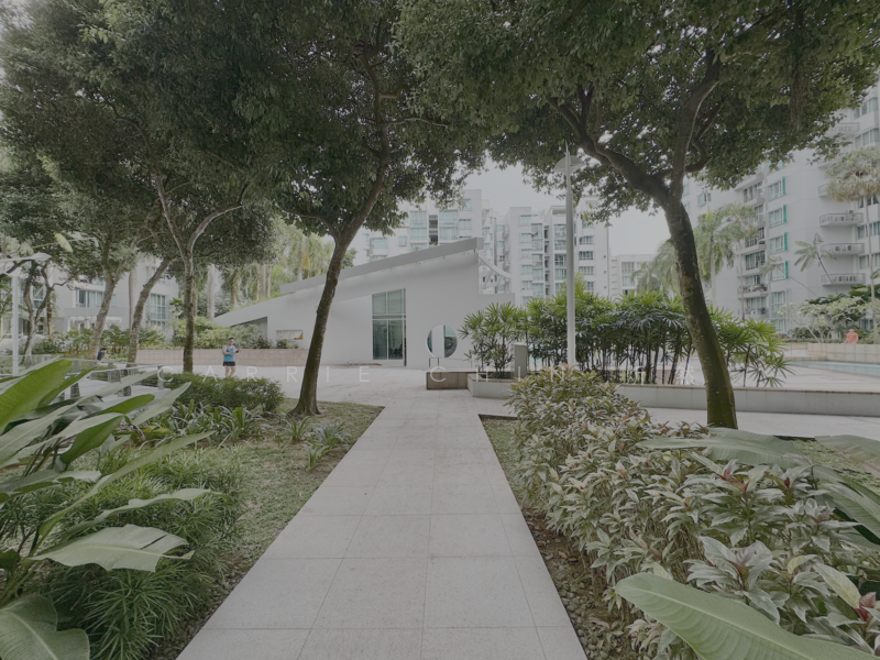 tessarina garden view