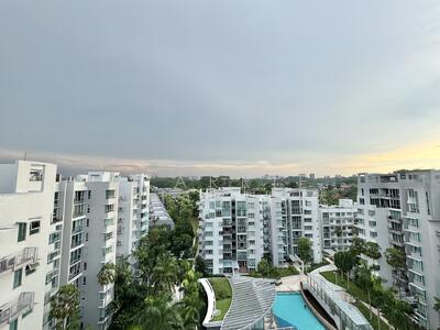 For Sale - The Tessarina