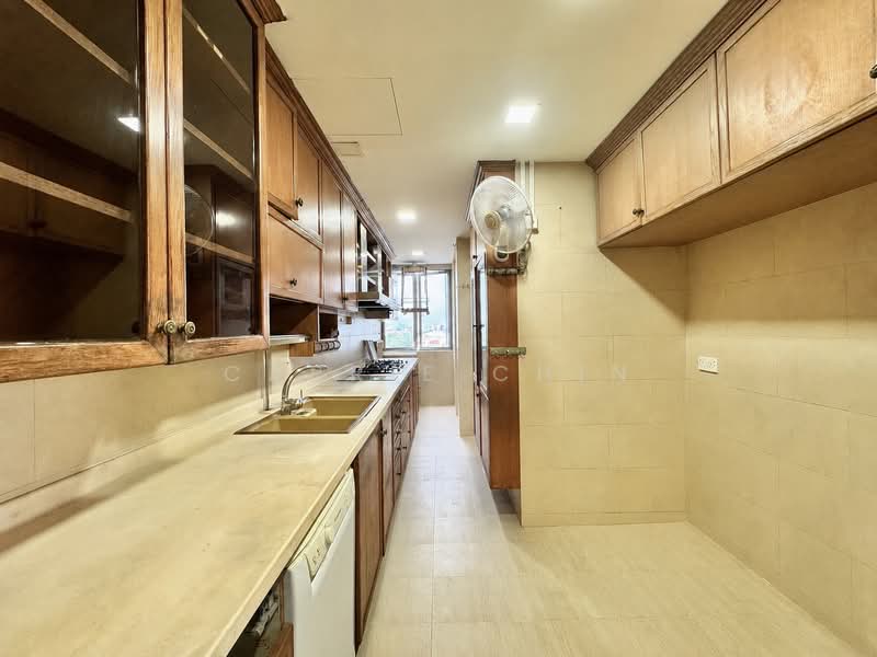 The Tessarina, 20 Wilby Road, 4 Bedrooms, 3,670 sqft, Condominium For Sale, by Carrie Chin, 60176118 - Kitchen (Before) - PropertyGuru.com.sg