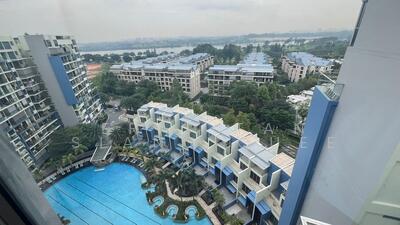 For Sale - Skies Miltonia