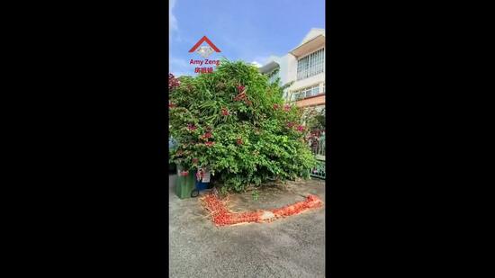 ❤️ Freehold ITerraced House in D15 Siglap | Call Amy Zeng 房姐姐 9177.2688 for Viewing! Terraced House For Sale at S$ 4,380,000 | PropertyGuru Singapore