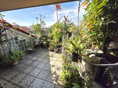 For Sale - ❤️ Freehold ITerraced House in D15 Siglap | Call Amy Zeng 房姐姐 9177.2688 for Viewing!