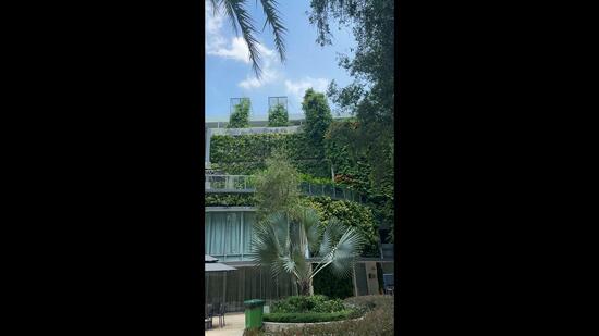 Double Bay Residences, 21D Simei Street 4, Pasir Ris / Tampines, Room Rental, 180 sqft, Condominium For Rent, by Rachel Goh, 60177576 - PropertyGuru.com.sg